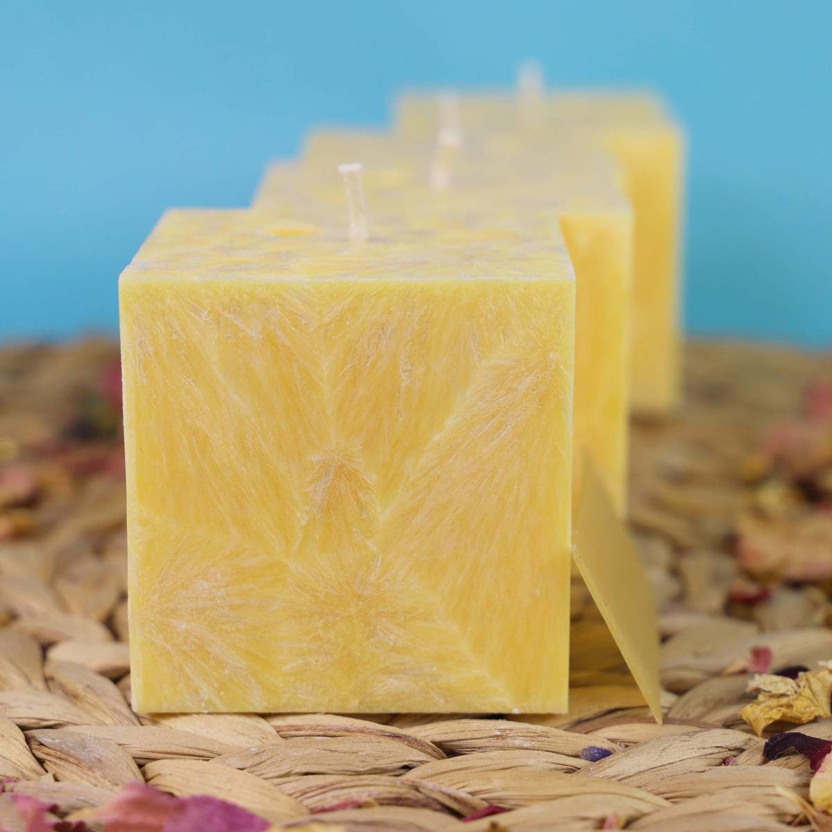 Sada svíček žlutá